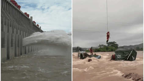 collage1