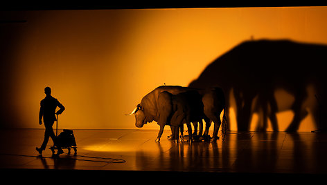 Dimitris Papaioannou „Transverse Orientation“