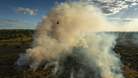 Matthew Abbotto nuotraukai „National Geographic“ skirtas metų istorijos titulas