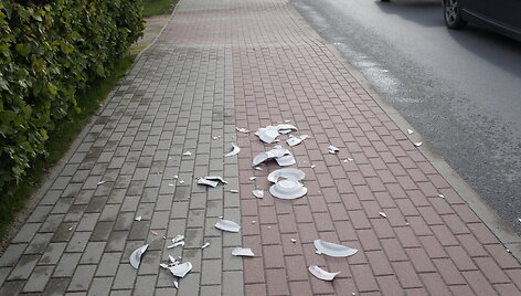 Žygio pėsčiomis &bdquo;Už &scaron;varią Lietuvą!&ldquo; akimirkos