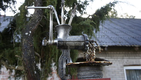 Žygio pėsčiomis „Už švarią Lietuvą!“ akimirkos