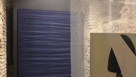 Paroda &bdquo;Nuojautos ir abejonės&ldquo; fragmentas / R.Vadlugaitės darbai.