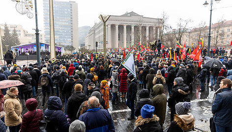 protestas-prie-seimo-sausio-13-aja-61e001322a40b