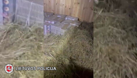 61e186ac84704video_61e186a974368