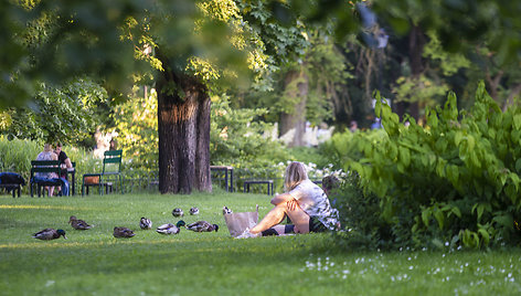 Saulėtas vakaras Vilniaus mieste