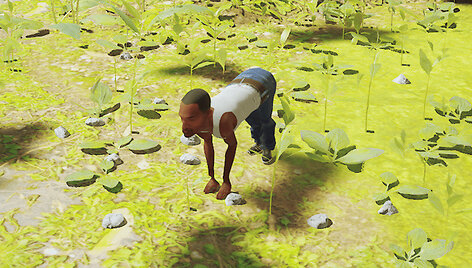 &bdquo;Stray&ldquo; modelis. &bdquo;MediaBizNet&ldquo; nuotrauka.