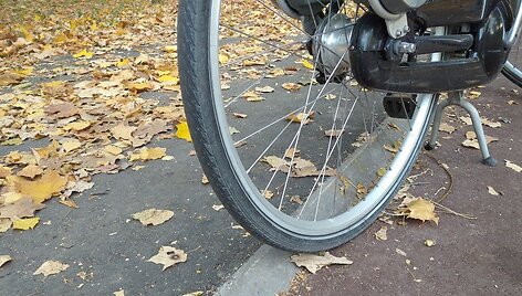 Dviračių takas Panevėžio Skaistakalnio parke