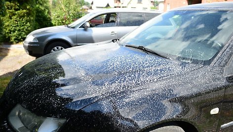 Balta medžiaga ant automobilių Rožyne