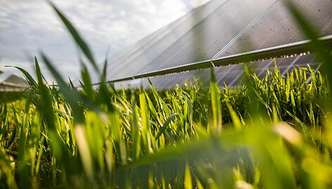 &bdquo;Green Genius&ldquo; saulės elektrinė
