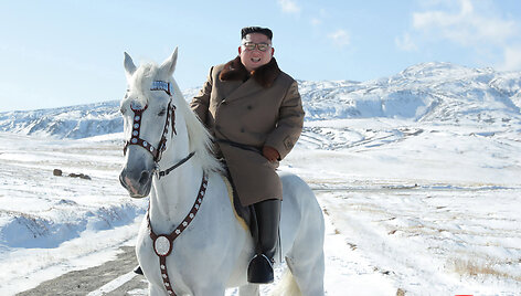 Kim Jong Unas