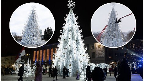 Buvusi Panevėžio Kalėdų eglė &scaron;iais metais su&scaron;vito Daugpilyje