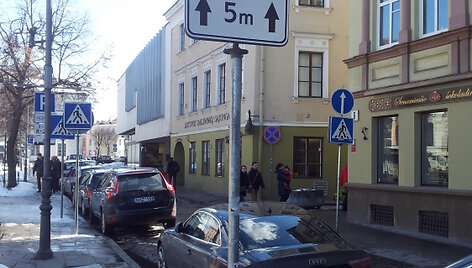 Du zuikiai vienu &scaron;ūviu
