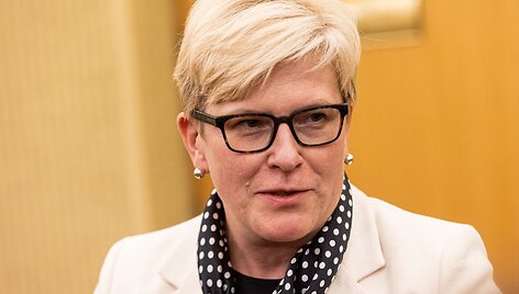 Paulius Peleckis nuotr. Ingrida &Scaron;imonytė