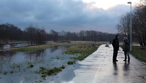 Dviračių takas palei Danę Klaipėdoje. Jurgita Andriejauskaitė nuotr.