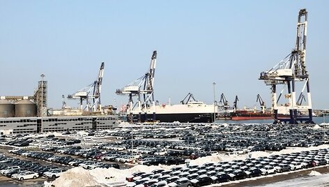 BNS nuotr.