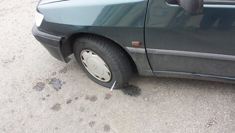 &Scaron;virk&scaron;tais subadyti ratai Vilniuje (Skaitytojo nuotr.).