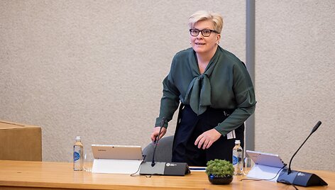 Ingrida &Scaron;imonyte / BNS nuotr.