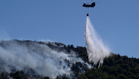 ARIS MESSINIS / AFP