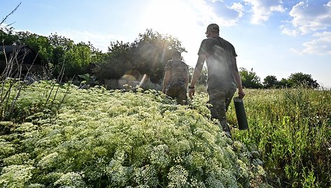 Karas Ukrainoje