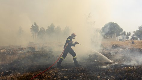 Didelis gaisras šalia Atėnų. / Socrates Baltagiannis / dpa/picture-alliance