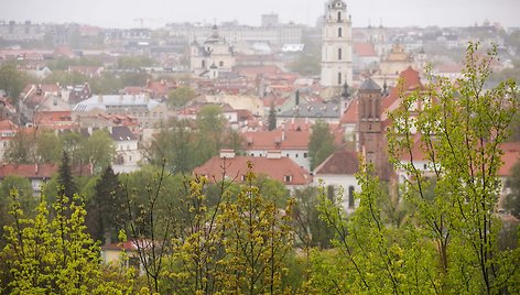 Lietaus gaivinamas Vilnius ir jo gamta / BNS nuotr.