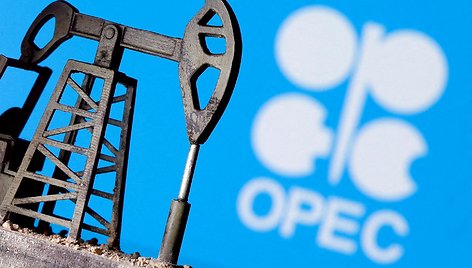 Naftą išgaunančių šalių grupė OPEC+ / Dado Ruvic / REUTERS