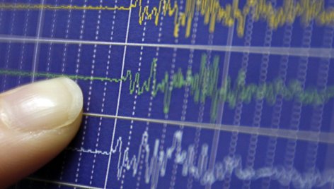 Seismologų diagrama / Yuriko Nakao / REUTERS