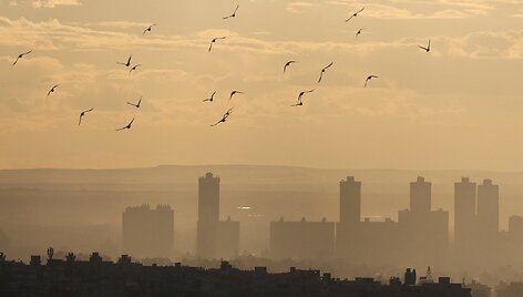 Amr Abdallah Dalsh / REUTERS