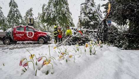 FABRICE COFFRINI / AFP
