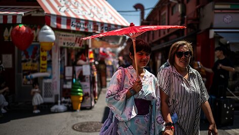 Kar&scaron;čiai Japonijoje / PHILIP FONG / AFP