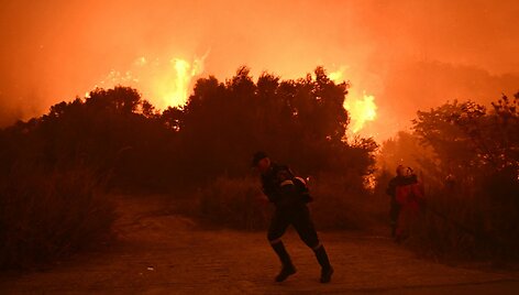 Gamtinis gaisras Graikijoje / ARIS MESSINIS / AFP