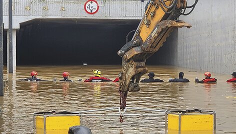Liūtys Pietų Korėjoje /  / AP