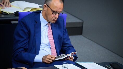 Friedrichas Merzas / Bernd von Jutrczenka / dpa/picture-alliance