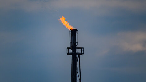 Patrick Pleul / dpa/picture-alliance