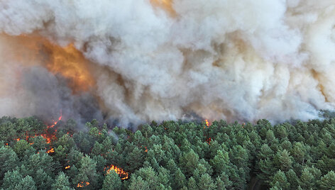 Gaisras Prancūzijoje / FRANCK DESPREZ / AFP