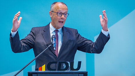 Friedrichas Merzas / Jens B&uuml;ttner / dpa/picture-alliance