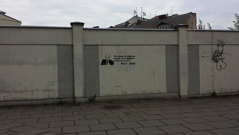 V.Putino atvaizdas