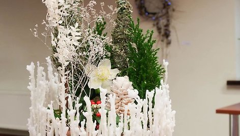 VU Botanikos sode jaunųjų floristų paroda