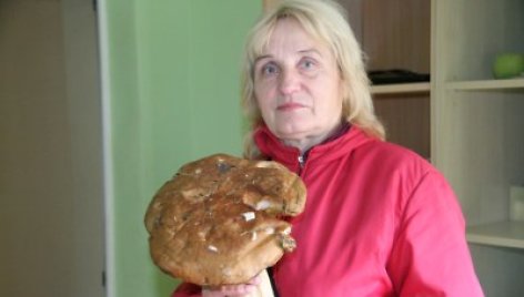 Šiaulietės Stefos 1,5 kg baravykas