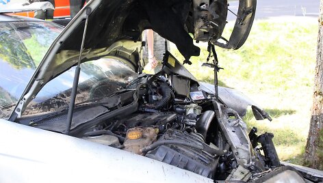 Nuo kelio nuvažiavo &bdquo;Opel Omega&ldquo; ir skaudžiai rėžėsi į medį