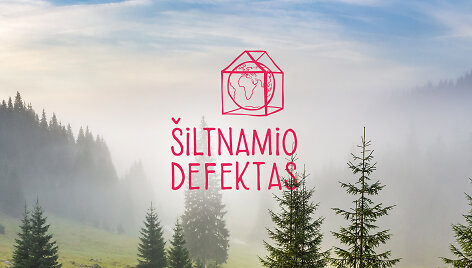 &bdquo;&Scaron;iltnamio defektas&ldquo;