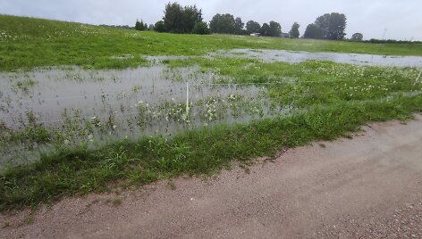 Apsemti laukai Kai&scaron;iadorių rajono Dainių kaime