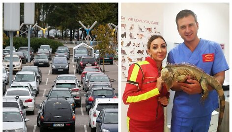 Automobilių stovėjimo aik&scaron;telė, Gerda Žemaitė, Paulius Morkūnas