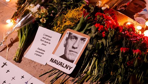 GEOFFROY VAN DER HASSELT / AFP