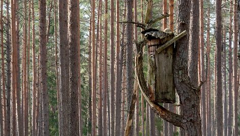 Drevinės bitininkystės pažintinis takas