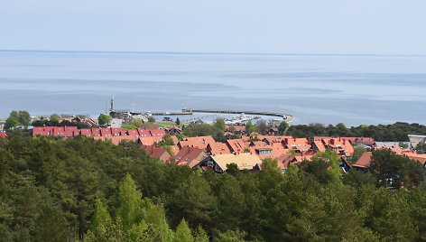 Neringa pradeda švęsti gimtadienį.