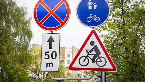 Vingiuojant sostinės dviračių takais...