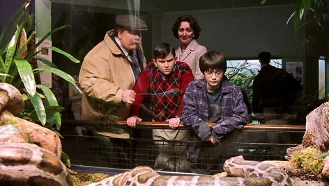 Richardas Griffithsas, Harry Mellingas, Danielis Radcliffe'as ir Fiona Shaw filme „Haris Poteris ir Išminties akmuo“ (2001 m.)