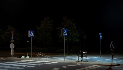Tomo Marti&scaron;auskio paroda &bdquo;Salos&ldquo; internetiniame žurnale &bdquo;Artnews.lt&ldquo;