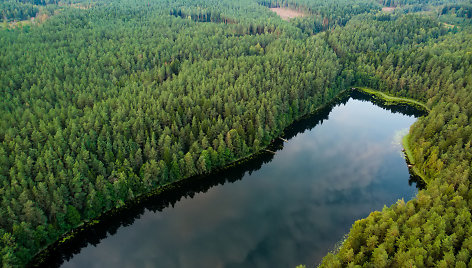 Lietuvoje siekiama plėsti miškų masyvą